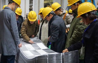 技術賦能產業升級 中石化上海工程醫藥食品專家團蒞臨艾克森工廠開展技術咨詢交流